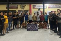 Polisi Tangkap 6 Pelaku Pembusuran di Permandian Topejawa