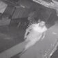 Pelaku memakai kaos dan celana pendek sedang berlari terekam CCTV (Tangkapan layar video Instagram Jakbar Viral)