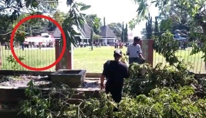 Tujuh warga terluka tertimpa pohon tumbang saat Presiden RI Jokowi mendarat di Kabupaten Muna Sultra