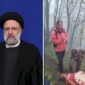 Presiden Iran Ebrahim Raisi Meninggal Dunia Usai Alami Kecelakaan Helikopter (Foto Kolase)