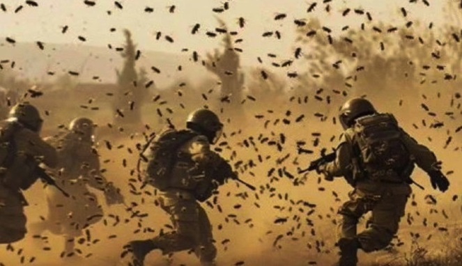 12 Tentara Israel Terluka Disengat Kawanan Lebah (Foto Ist)