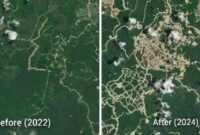 NASA merilis foto satelit yang menunjukkan kerusakan ekosistem hutan di Kaltim akibat pembangunan IKN (Ist)