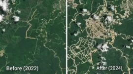 NASA merilis foto satelit yang menunjukkan kerusakan ekosistem hutan di Kaltim akibat pembangunan IKN (Ist)