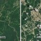 NASA merilis foto satelit yang menunjukkan kerusakan ekosistem hutan di Kaltim akibat pembangunan IKN (Ist)