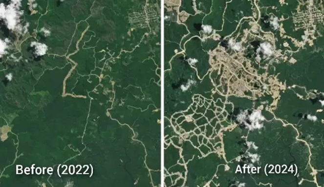 NASA merilis foto satelit yang menunjukkan kerusakan ekosistem hutan di Kaltim akibat pembangunan IKN (Ist)