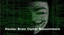 Hacker Brain Cipher Ransomware/Ilustrasi