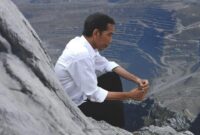 Presiden Jokowi dengan latar belakang wilayah penambangan Freeport di Papua. (Ist)