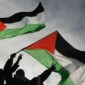 Bendera Palestina Berkibar (Ist)