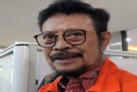 Mantan Menteri Pertanian Syahrul Yasin Limpo (Ist)