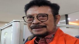 Mantan Menteri Pertanian Syahrul Yasin Limpo (Ist)