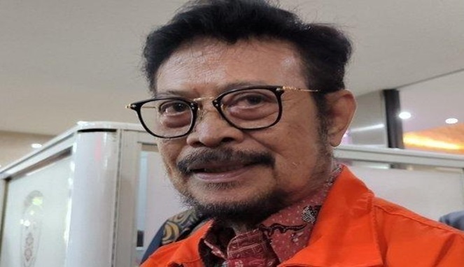 Mantan Menteri Pertanian Syahrul Yasin Limpo (Ist)