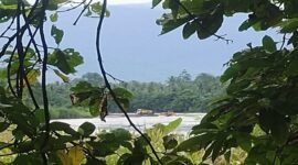 Tambang Ilegal di Bantaran Sungai Kalaena Kabupaten Luwu Timur, Sulawesi Selatan