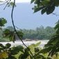 Tambang Ilegal di Bantaran Sungai Kalaena Kabupaten Luwu Timur, Sulawesi Selatan