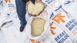 Pekerja menunjukan beras impor asal Vietnam milik Perum Bulog di Pelabuhan Tanjung Priok, (Antara Foto/Galih Pradipta).