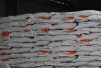 Impor beras (Foto Perum bulog)