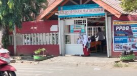 SDN Mattoangin II (Ist)