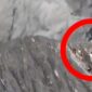 Sekolompok pendaki lari dari Gunung Dukono di Halmahera Utara saat erupsi. (Tangkapan Layar Video)