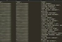 Hacker Bjorka pamerkan data pajak yang dibobol
