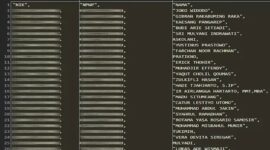 Hacker Bjorka pamerkan data pajak yang dibobol