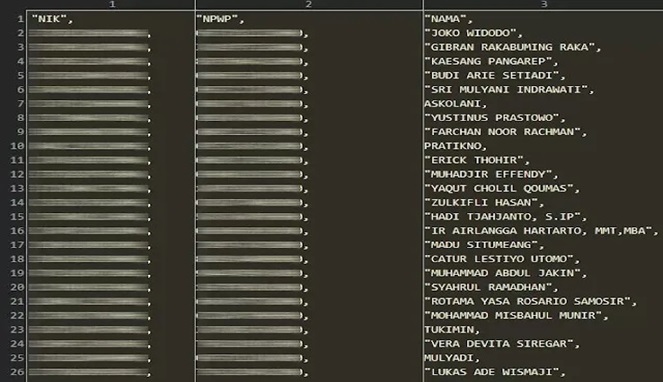 Hacker Bjorka pamerkan data pajak yang dibobol