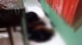 Tangkapan Layar Video Pelajar SMA Rudapkasa Siswi SMP
