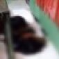Tangkapan Layar Video Pelajar SMA Rudapkasa Siswi SMP