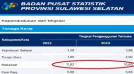 Data Badan Pusat Statistik (BPS) Provinsi Sulsel