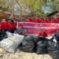 Karyawan Swiss-Belinn dan Swiss-Belhotel Bersatu membersihkan area pantai Pulau Samalona