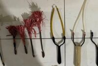 Foto Ilustrasi Busur Panah