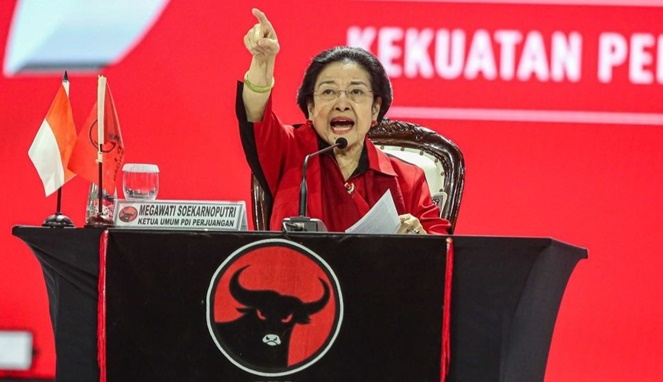 Ketua Umum PDIP, Megawati Soekarnoputri (Ist)