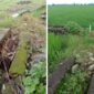 Foto Kolase : Proyek Irigasi di Gowa Tak Bertuan Mangkrak dan Jadi Bangkai Beton