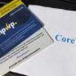 Aplikasi Coretax Pengganti E-Faktur (Ist)