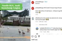 Foto Kolase : Tangkapan Layar Video Instagram @pr4sety0bhagas Video Bebek di IKN