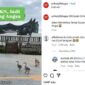 Foto Kolase : Tangkapan Layar Video Instagram @pr4sety0bhagas Video Bebek di IKN