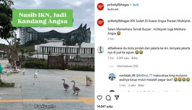 Foto Kolase : Tangkapan Layar Video Instagram @pr4sety0bhagas Video Bebek di IKN