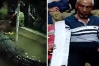 Foto Kolase : Detik-detik Kakek Baco Daeng Rani di Gowa Diterkam Buaya Tangan Nyaris Putus