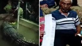 Foto Kolase : Detik-detik Kakek Baco Daeng Rani di Gowa Diterkam Buaya Tangan Nyaris Putus
