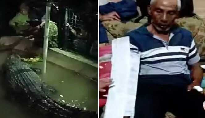 Foto Kolase : Detik-detik Kakek Baco Daeng Rani di Gowa Diterkam Buaya Tangan Nyaris Putus