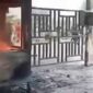 Suasana Demo Kawasan IMIP Morowali, Sulawesi Tengah