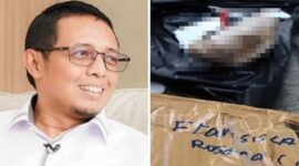 Foto Kolase : Kepala Kantor Komunikasi Kepresidenan (PCO) Hasan Nasbi dan Paket Kiriman Kepala Babi di Kantor Tempo