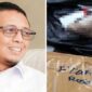Foto Kolase : Kepala Kantor Komunikasi Kepresidenan (PCO) Hasan Nasbi dan Paket Kiriman Kepala Babi di Kantor Tempo