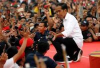 Jokowi (Ist)