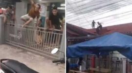 Foto Kolase : Narapidana Lapas Kutacane, Aceh Tenggara Kabur