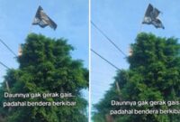 Foto Kolase : Daun tak bergerak dan bendera di atas pohon berkibar