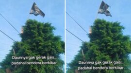 Foto Kolase : Daun tak bergerak dan bendera di atas pohon berkibar