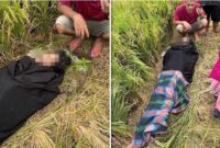 Foto Kolase : Mayat wanita ditemukan di sawah