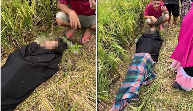 Foto Kolase : Mayat wanita ditemukan di sawah