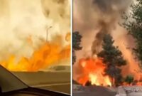 Tangkapan layar video kebakaran hebat di Israel (media sosial)