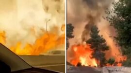Tangkapan layar video kebakaran hebat di Israel (media sosial)