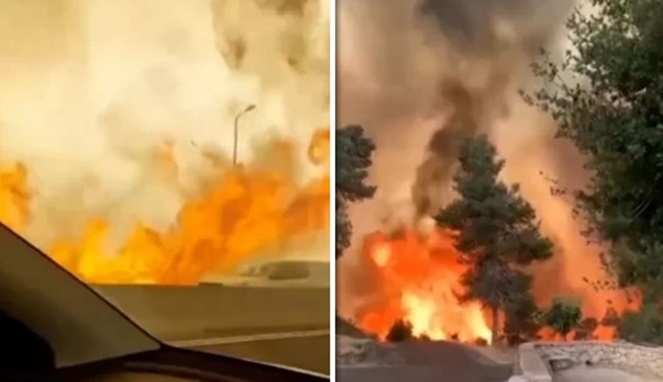 Tangkapan layar video kebakaran hebat di Israel (media sosial)